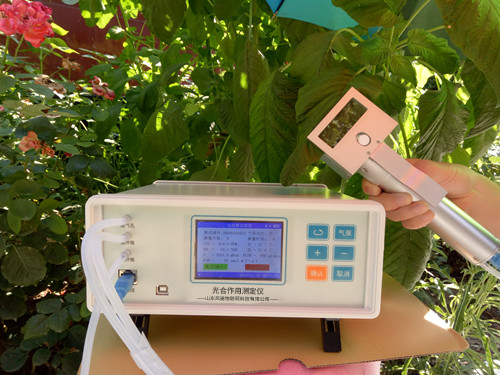 植物氣孔針有何應(yīng)用？