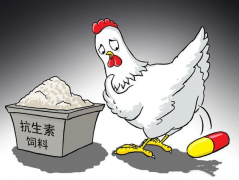 食品抗生素層出不窮，如何檢測(cè)？